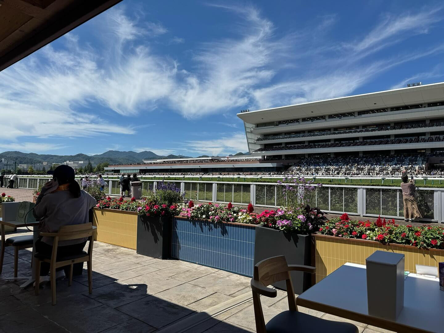 今日は札幌競馬場