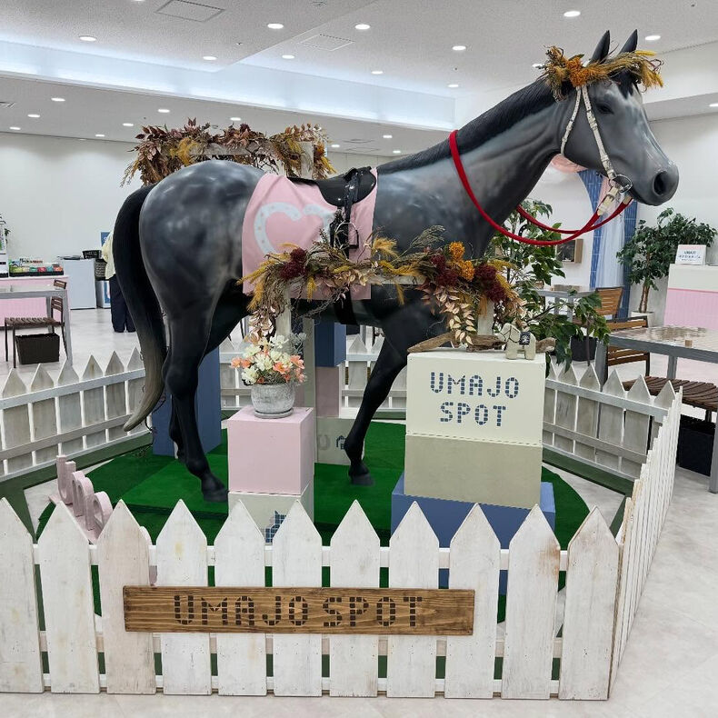 画像2028：今日は阪神競馬場です