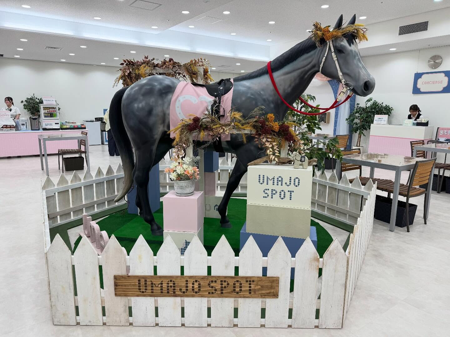 今日は阪神競馬場です
