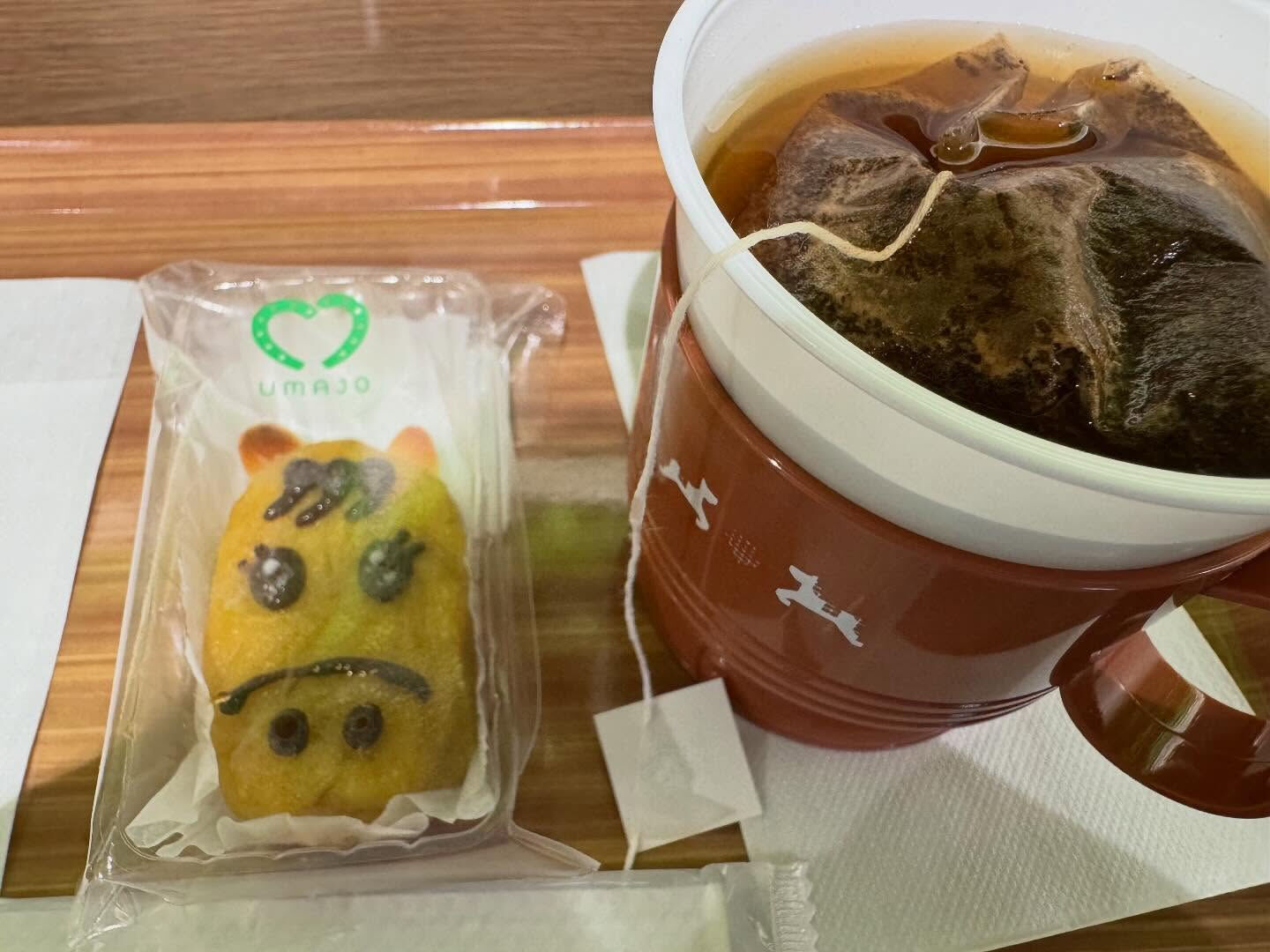 今日は京都競馬場です