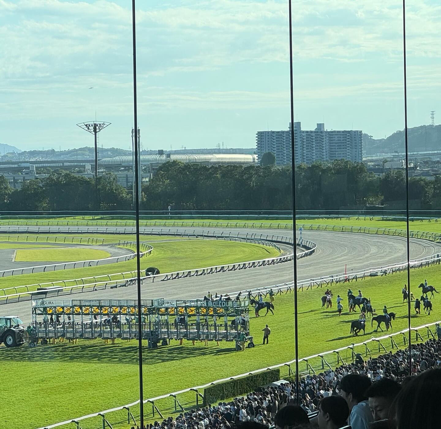 京都競馬場のG1牝馬レース